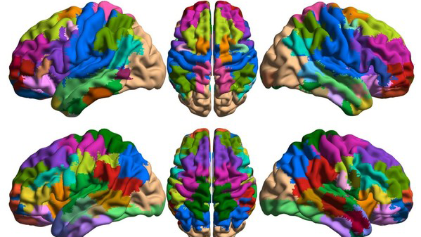 Research unit - Neurodevelopmental Disorders