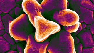 Research unit - Smart Bio-Interfaces